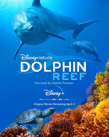 Dolphin Reef 2020 720p WEBRip 800MB x264-GalaxyRG