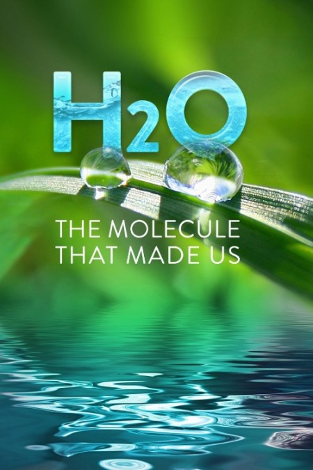 H2O The Molecule That Made Us S01E02 WEB h264-TWERK