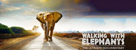 Walking with Elephants S01E01 720p HDTV x264-LE