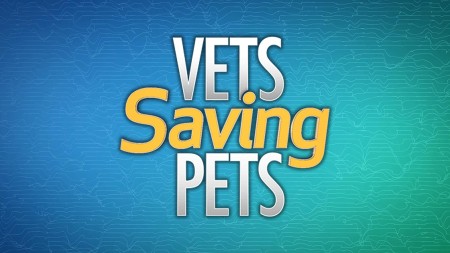 Vets Saving Pets S02E19 A Leg to Stand On 720p WEB x264-CookieMonster
