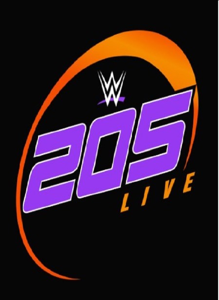 WWE 205 Live 2020 05 15 WEB h264-HEEL