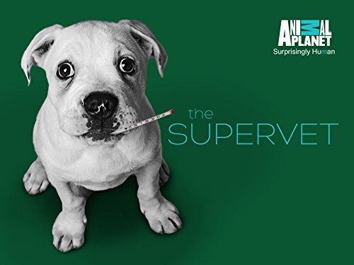 The Supervet S09E04 720p HDTV x264-CBFM