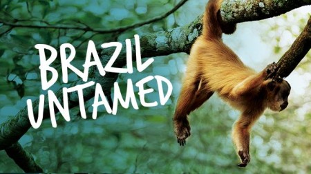 Brazil Untamed S01E06 Amazon Monkeys WEB h264-CAFFEiNE