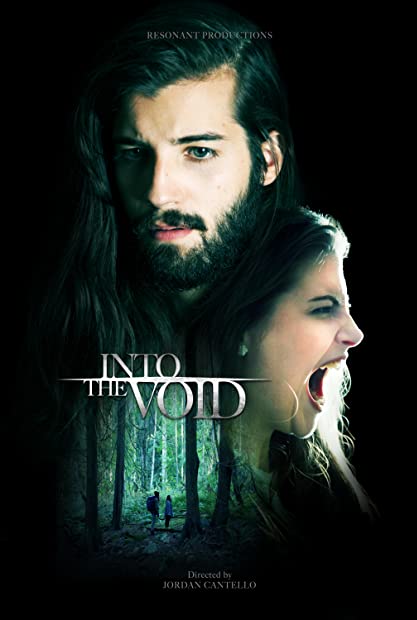 Into The Void 2019 1080p AMZN WEBRip DDP5 1 x264-iKA