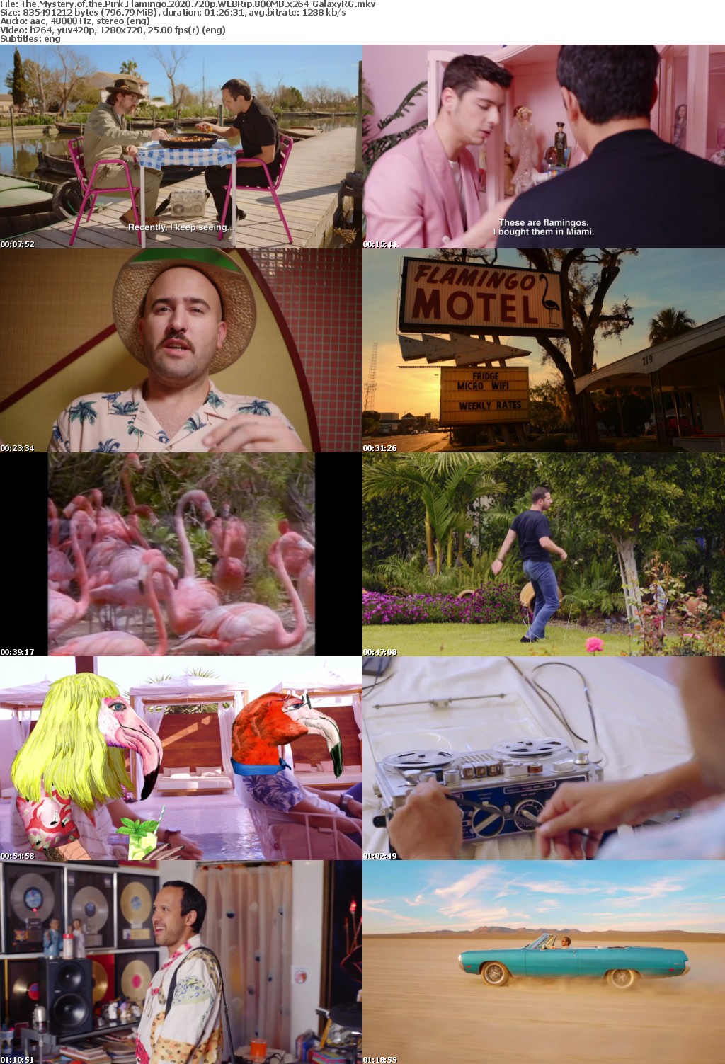 The Mystery of the Pink Flamingo 2020 720p WEBRip 800MB x264-GalaxyRG