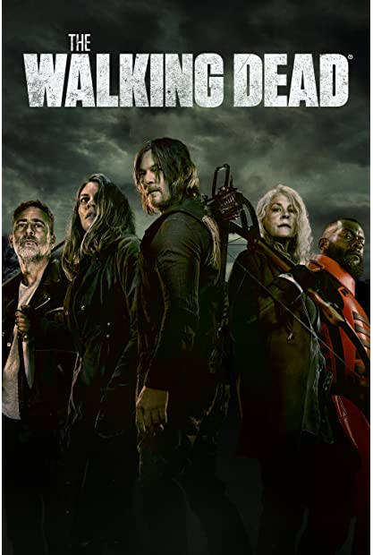 The Walking Dead S11E04 XviD-AFG