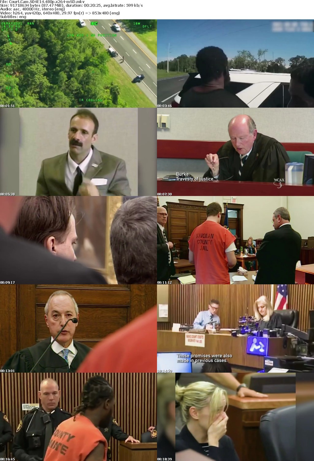 Court Cam S04E14 480p x264-mSD