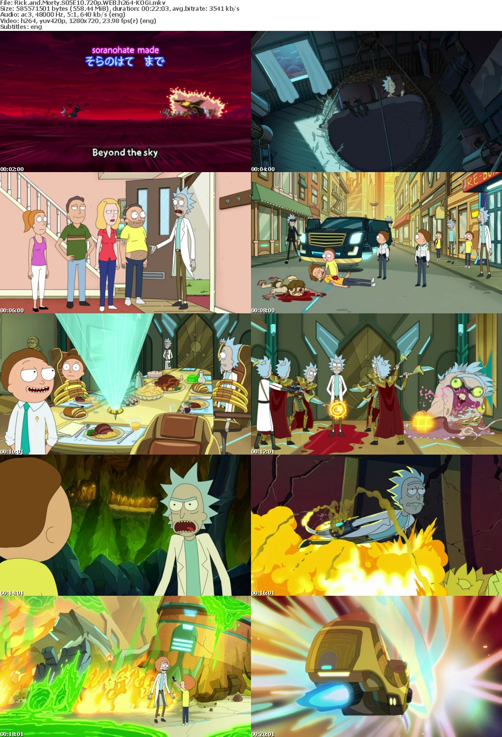 Rick and Morty S05E10 720p WEB h264-KOGi
