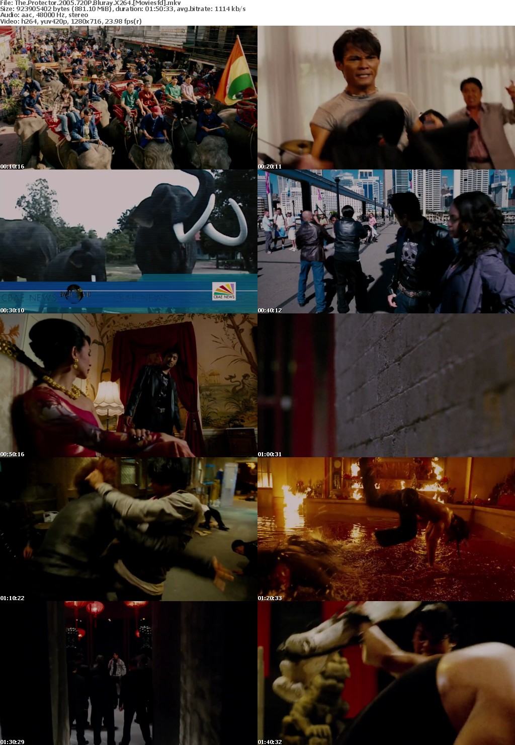 The Protector (2005) 720p BluRay X264 MoviesFD