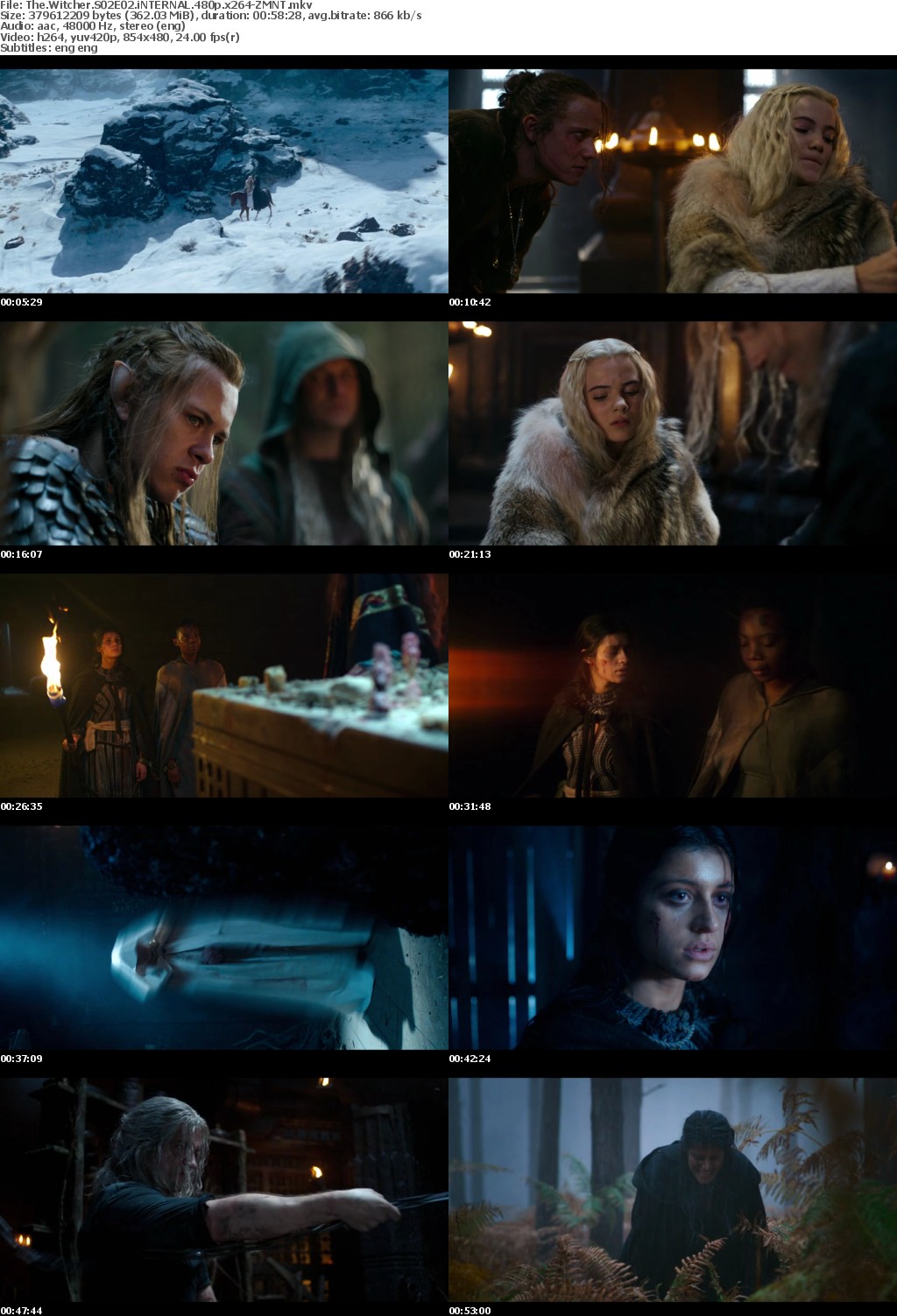 The Witcher S02 480p x264-ZMNT