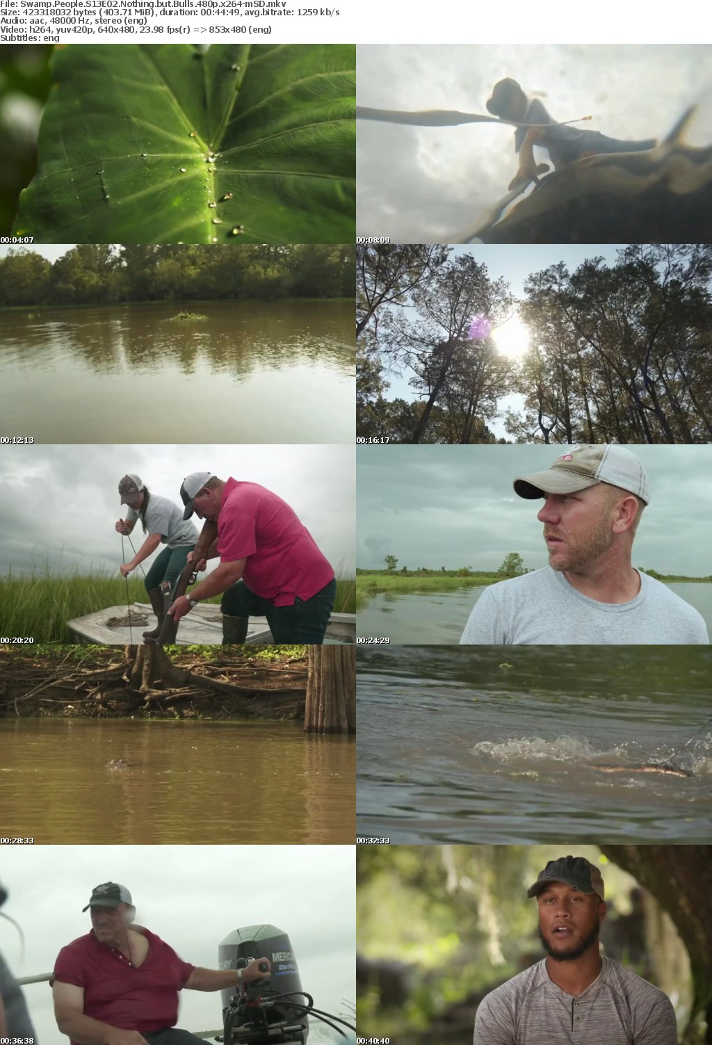 Swamp People S13E02 Nothing but Bulls 480p x264-mSD