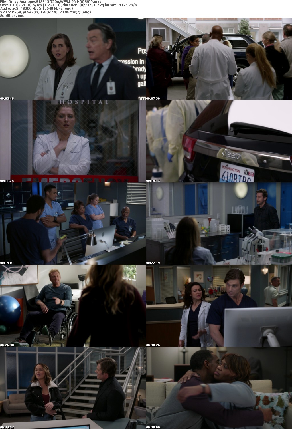 Greys Anatomy S18E13 720p WEB h264-GOSSIP