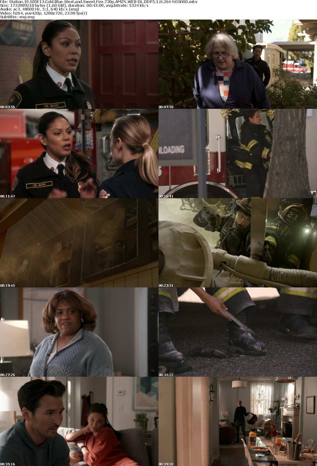 Station 19 S05E13 Cold Blue Steel and Sweet Fire 720p AMZN WEBRip DDP5 1 x264-NOSiViD