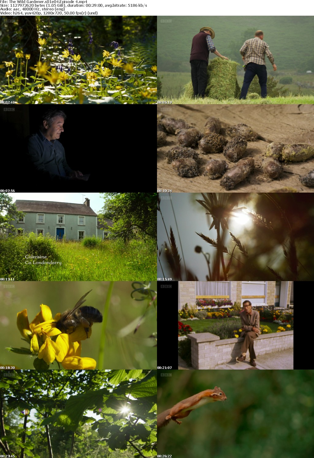 The Wild Gardener S01 complete (1280x720p HD, 50fps, soft Eng subs)