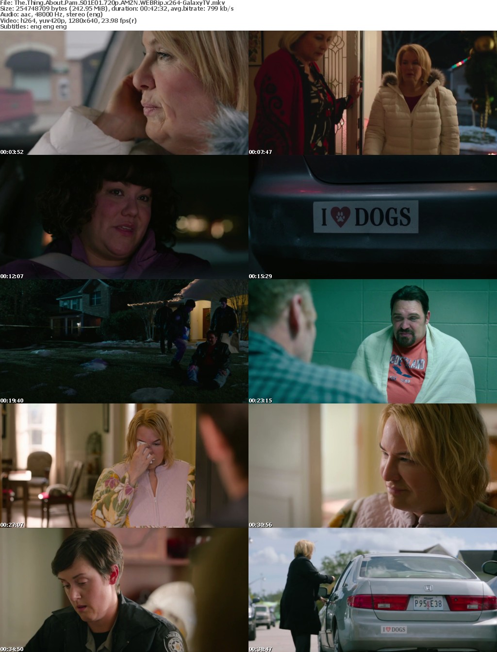The Thing About Pam S01 COMPLETE 720p AMZN WEBRip x264-GalaxyTV