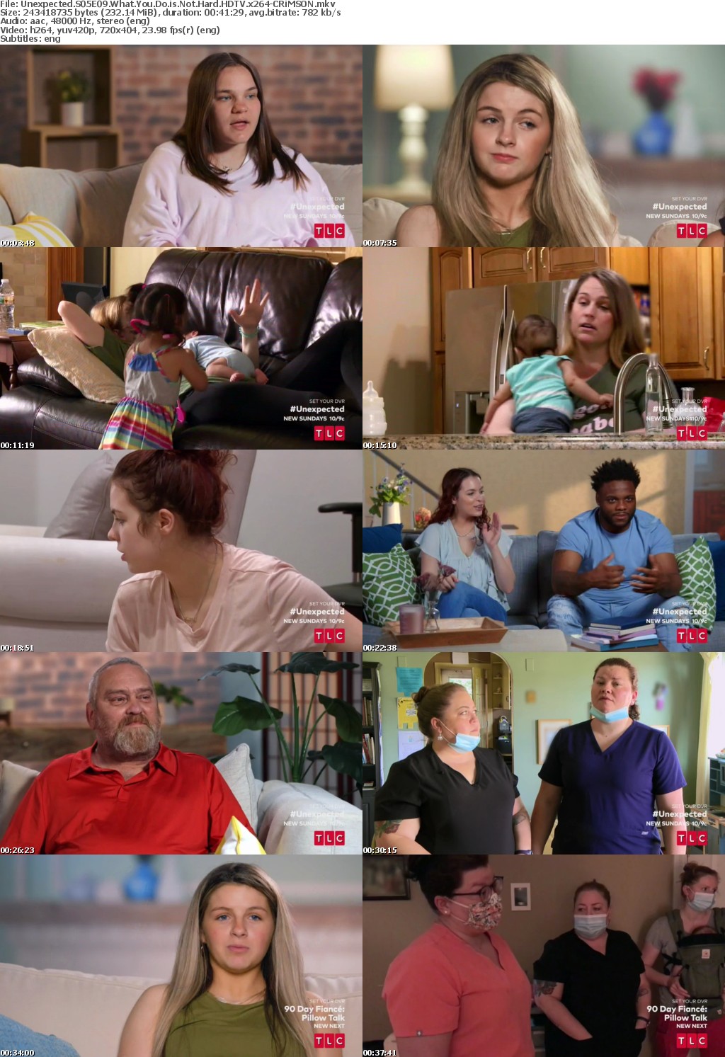 Unexpected S05E09 What You Do is Not Hard HDTV x264-CRiMSON