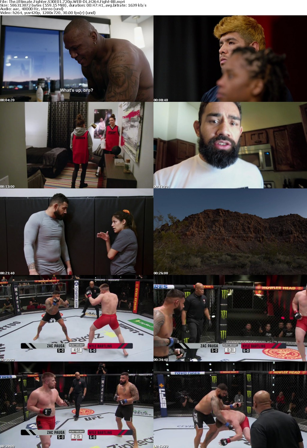The Ultimate Fighter S30E01 720p WEB-DL H264 Fight-BB