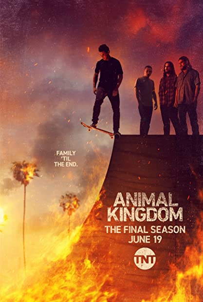 Animal Kingdom US S06E01 XviD-AFG