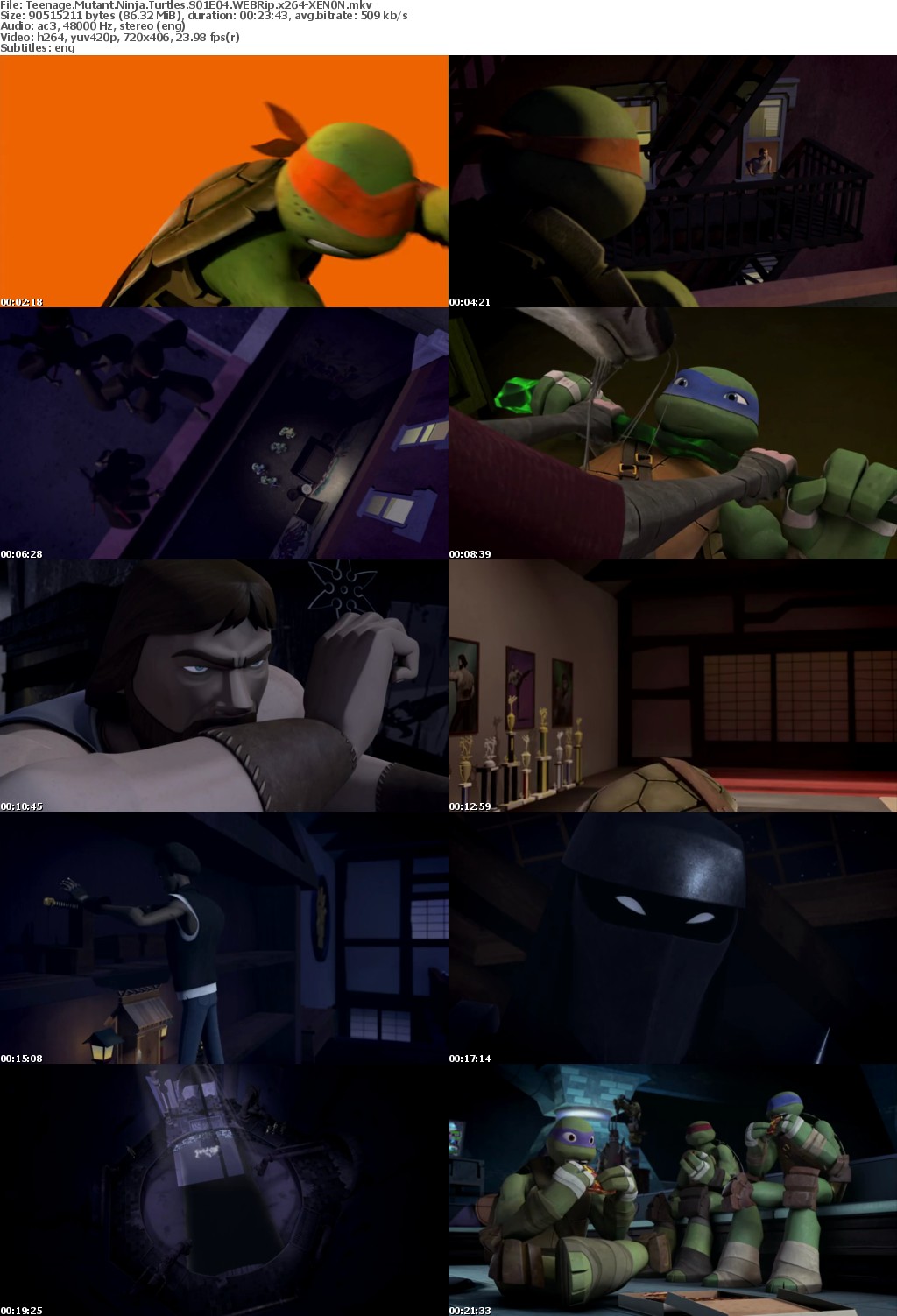Teenage Mutant Ninja Turtles S01E04 WEBRip x264-XEN0N