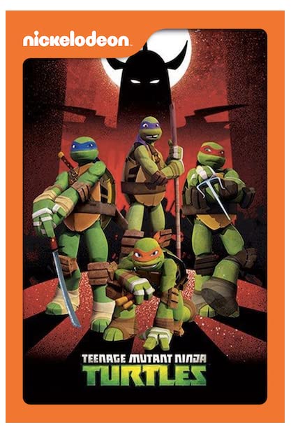 Teenage Mutant Ninja Turtles S01E01 WEBRip x264-XEN0N