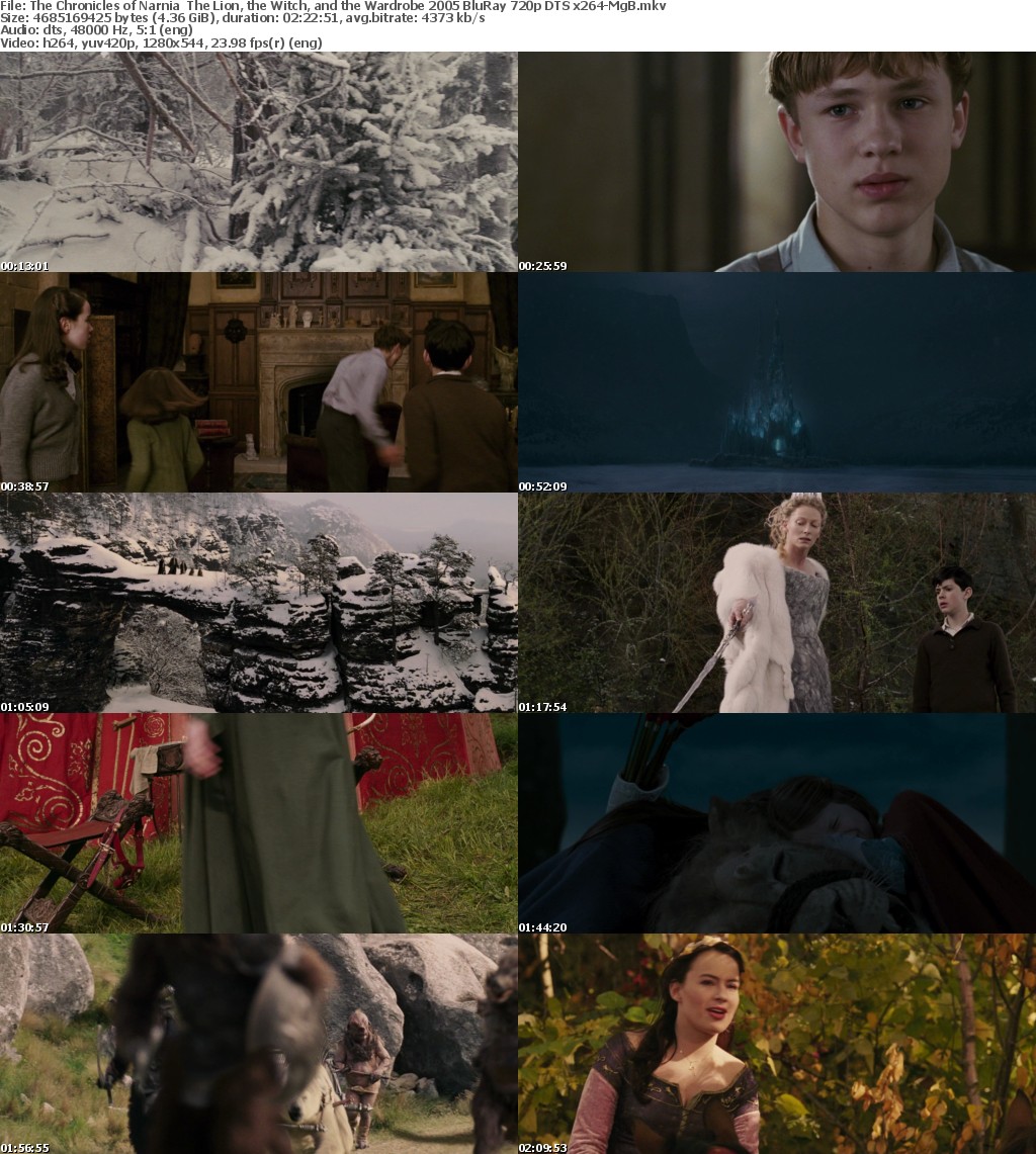 The Chronicles of Narnia The Lion, the Witch, and the Wardrobe 2005 BluRay 720p DTS x264-MgB