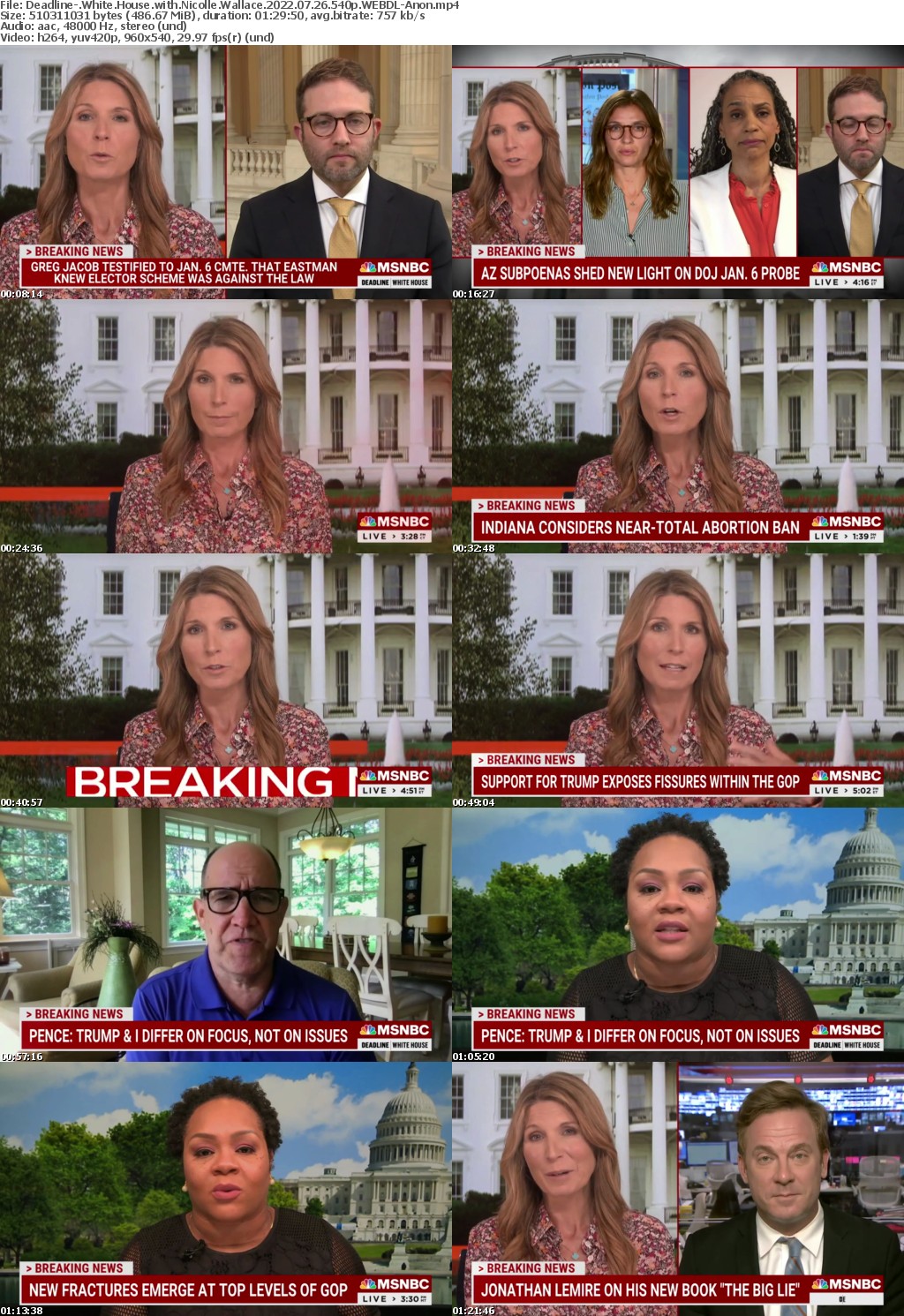 Deadline- White House with Nicolle Wallace 2022 07 26 540p WEBDL-Anon
