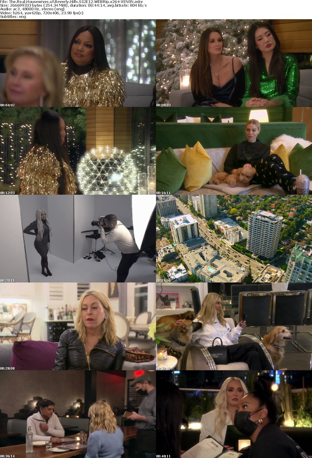 The Real Housewives of Beverly Hills S12E12 WEBRip x264-XEN0N