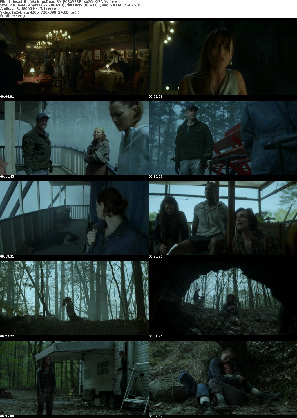 Tales of the Walking Dead S01E03 WEBRip x264-XEN0N