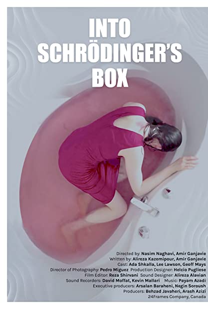 Into Schrodingers Box 2022 720p AMZN WEBRip 800MB x264-GalaxyRG