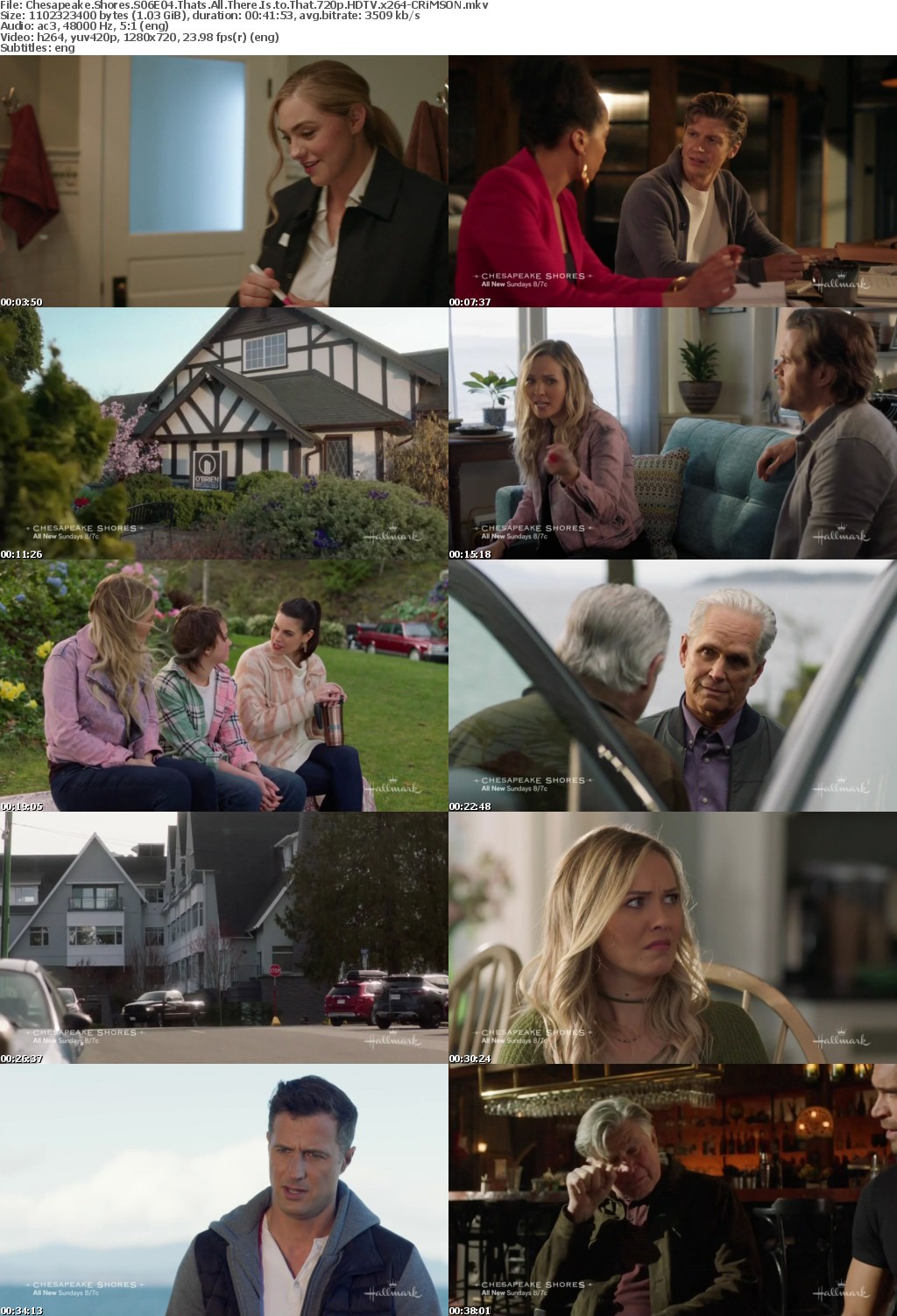 Chesapeake Shores S06E04 Thats All There Is to That 720p HDTV x264-CRiMSON