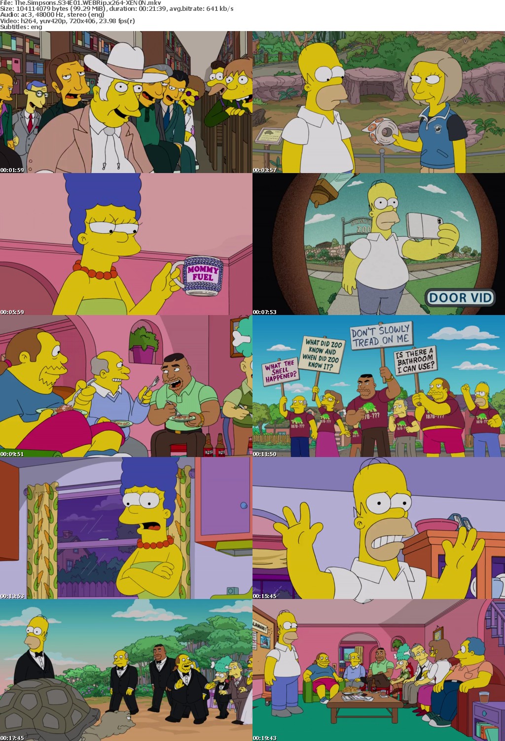 The Simpsons S34E01 WEBRip x264-XEN0N