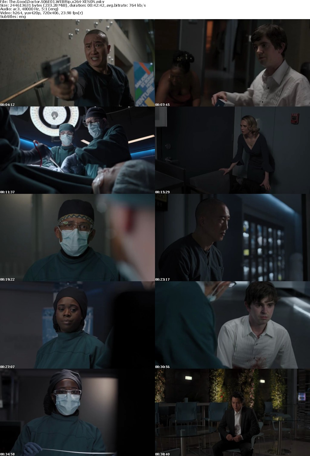 The Good Doctor S06E01 WEBRip x264-XEN0N