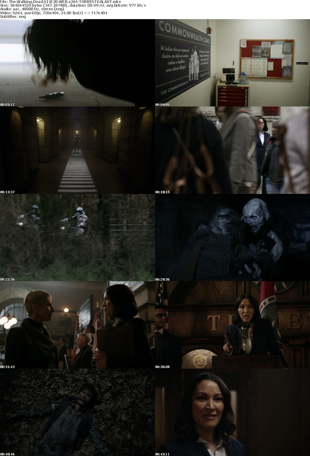 The Walking Dead S11E20 WEB x264-GALAXY