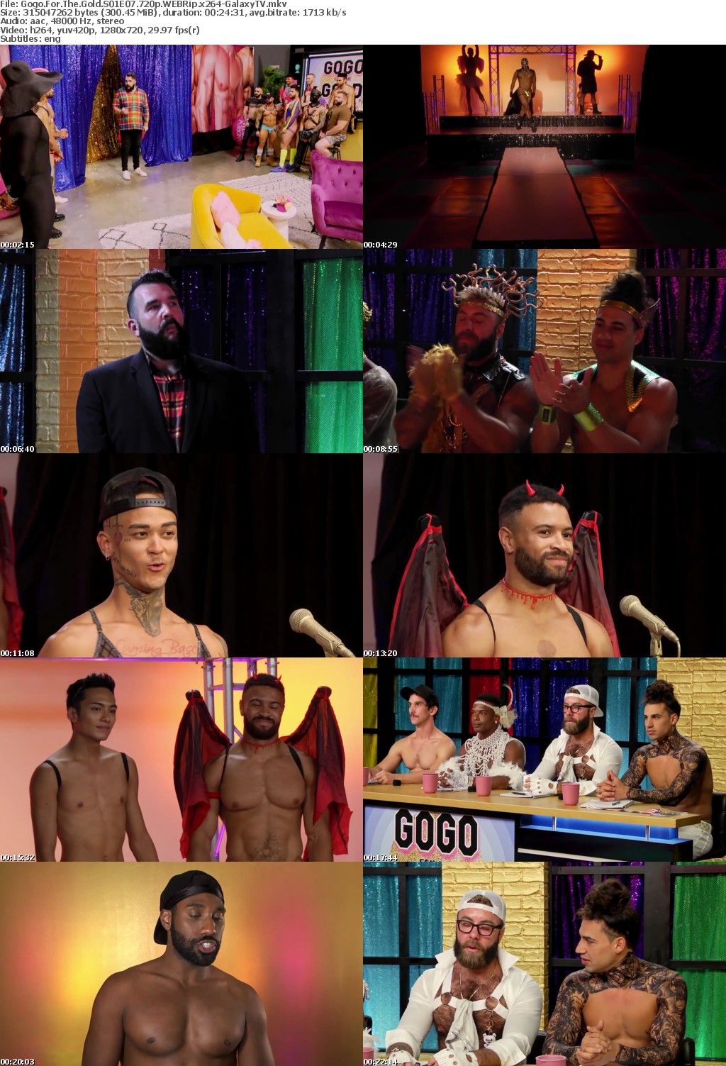 Gogo For The Gold S01 COMPLETE 720p WEBRip x264-GalaxyTV