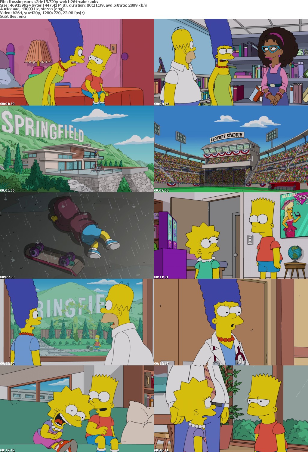 The Simpsons S34E15 720p WEB H264-CAKES