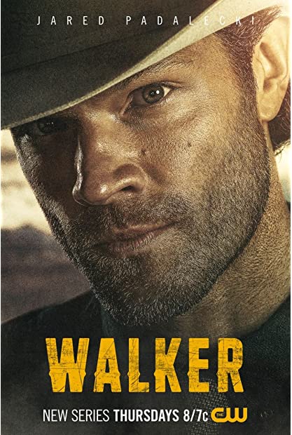 Walker S03E14 XviD-AFG