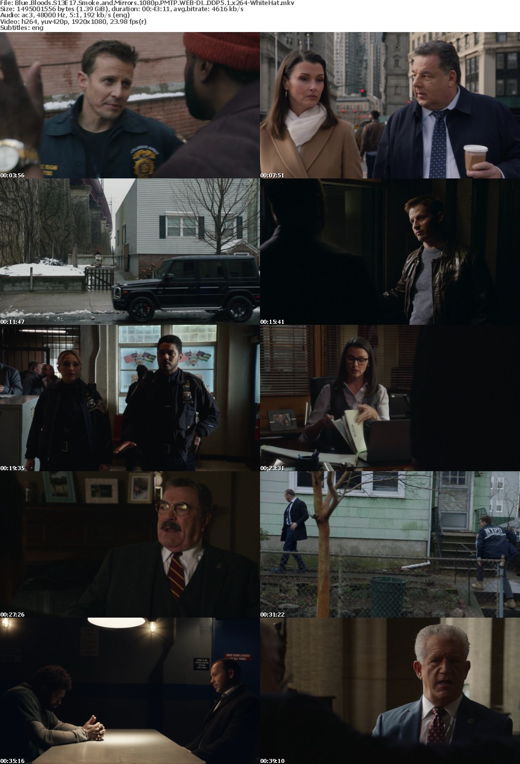 Blue Bloods S13E17 Smoke and Mirrors 1080p PMTP WEBRip DDP5 1 x264-WhiteHat
