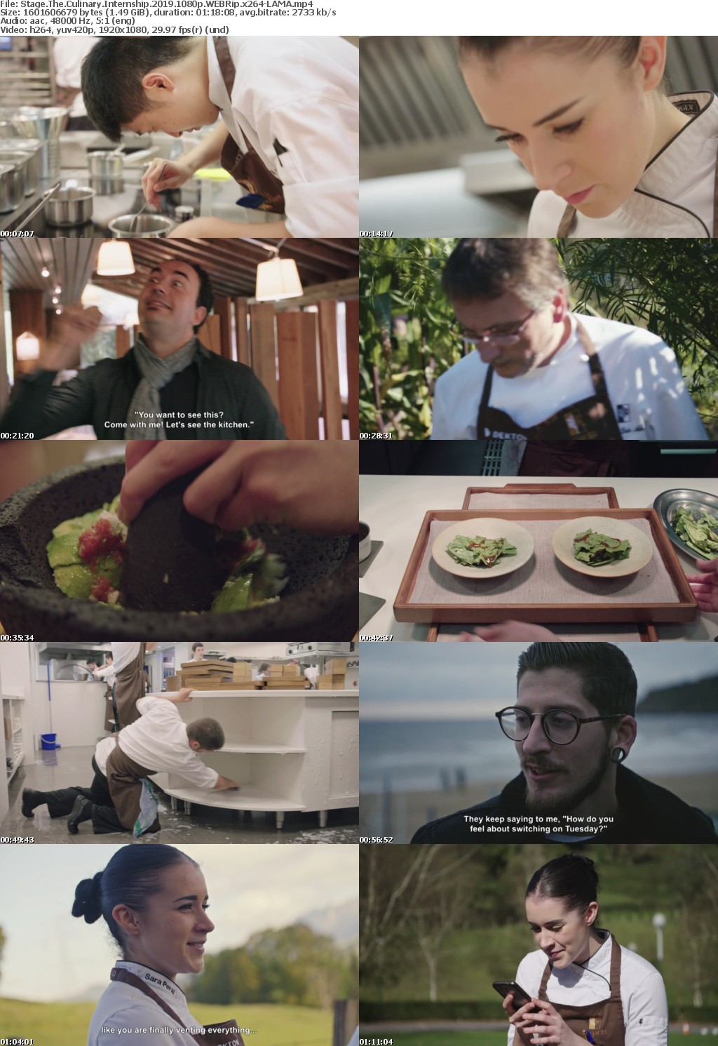 Stage The Culinary Internship 2019 1080p WEBRip x264-RARBG