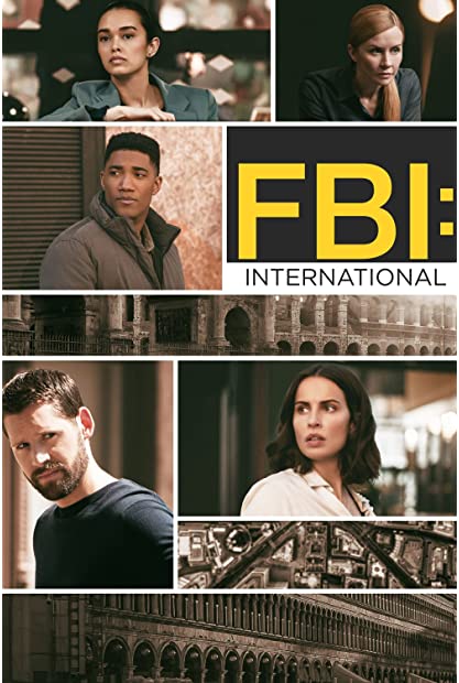 FBI International S02E21 WEBRip x264-XEN0N