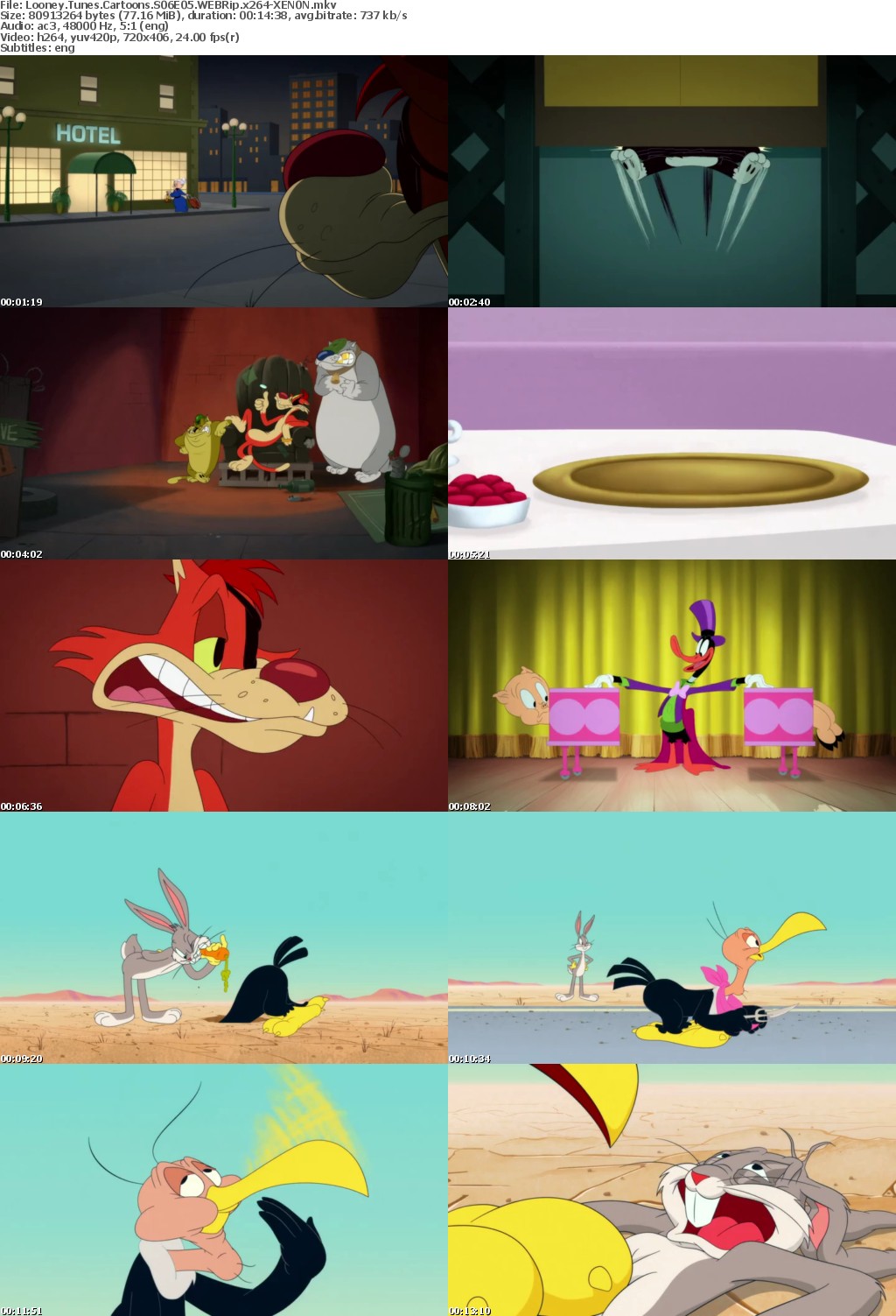 Looney Tunes Cartoons S06E05 WEBRip x264-XEN0N