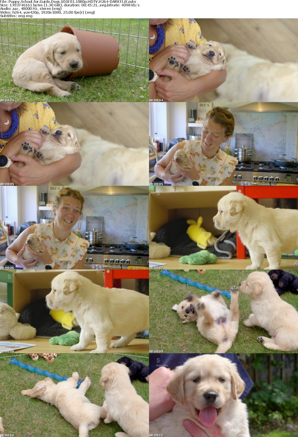 Puppy School for Guide Dogs S01E01 1080p HDTV H264-DARKFLiX