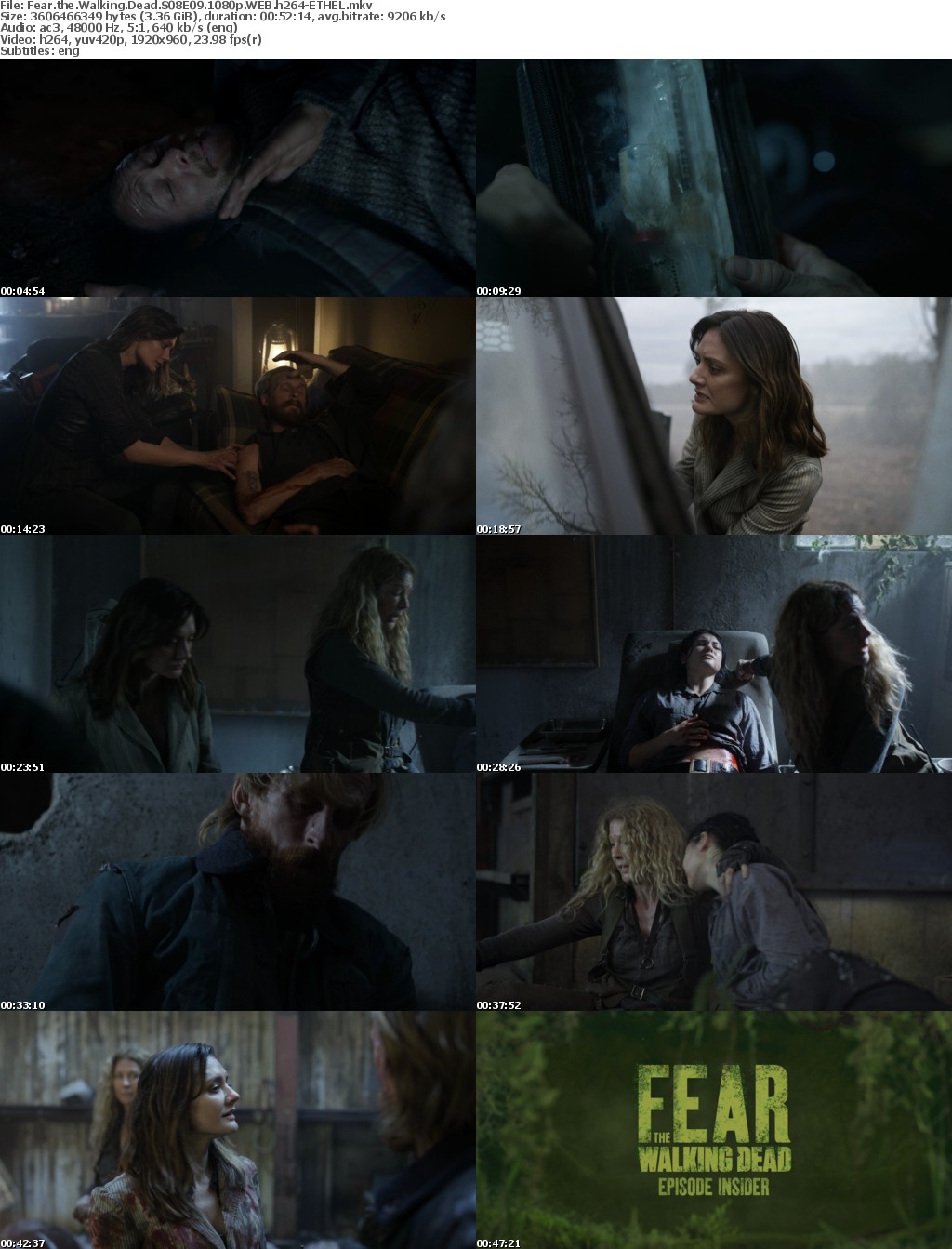 Fear the Walking Dead S08E09 1080p WEB h264-ETHEL