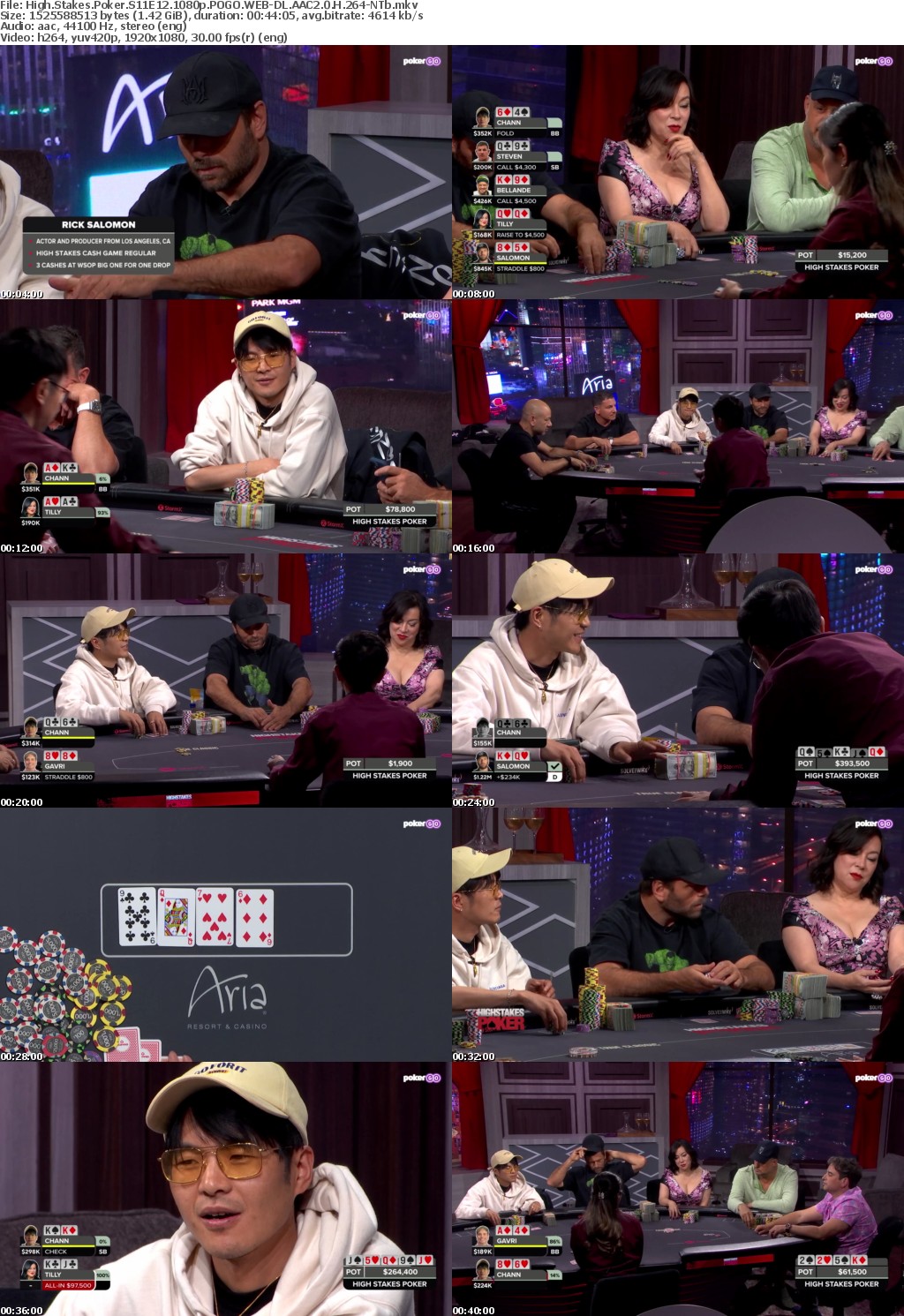 High Stakes Poker S11E12 1080p POGO WEB-DL AAC2 0 H 264-NTb