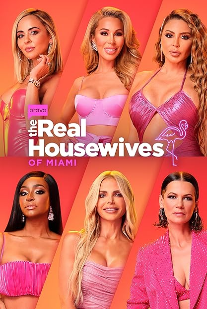 The Real Housewives of Miami S06E01 Nuevos Horizontes 720p AMZN WEB-DL DDP2 0 H 264-NTb