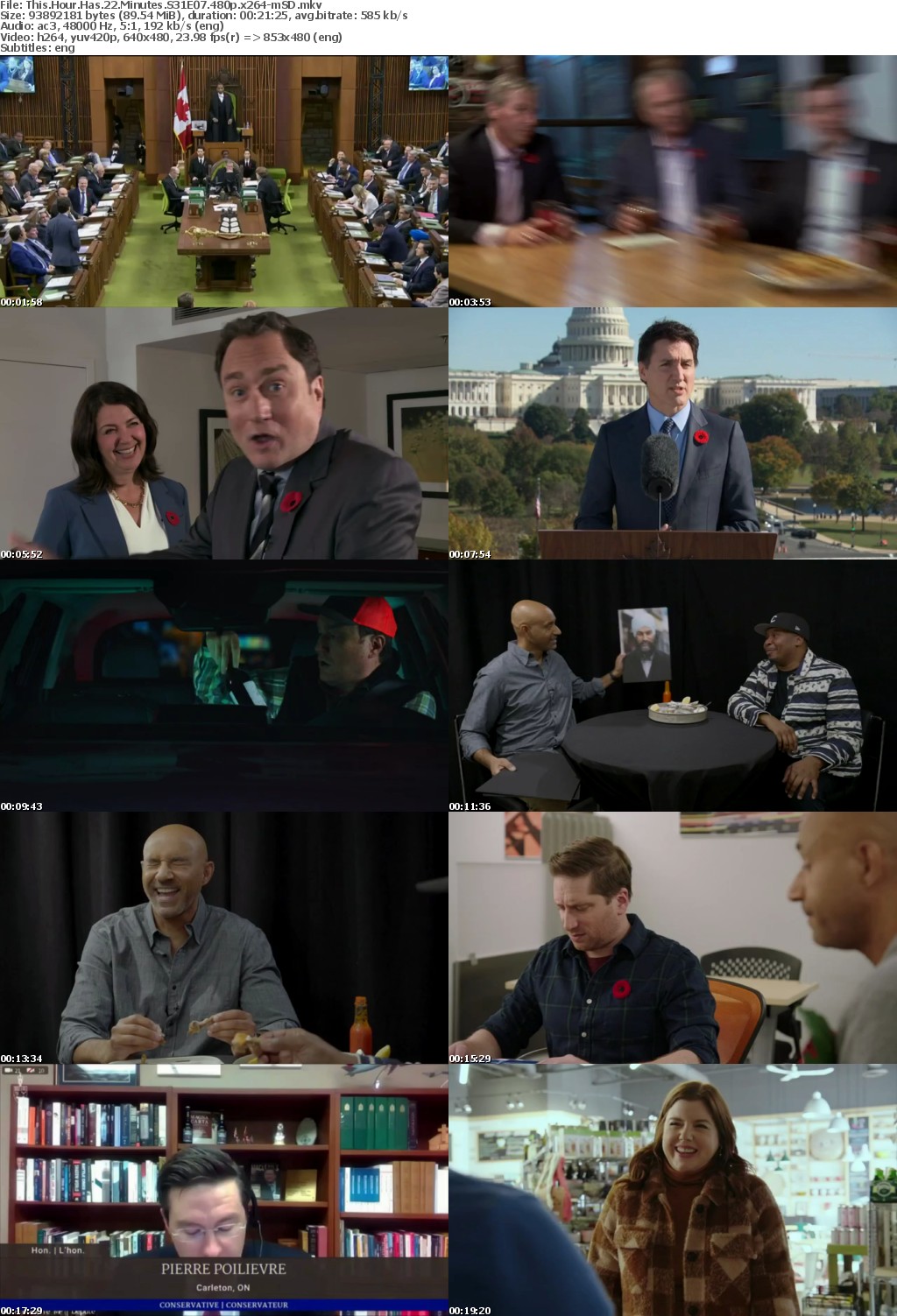 This Hour Has 22 Minutes S31E07 480p x264-mSD