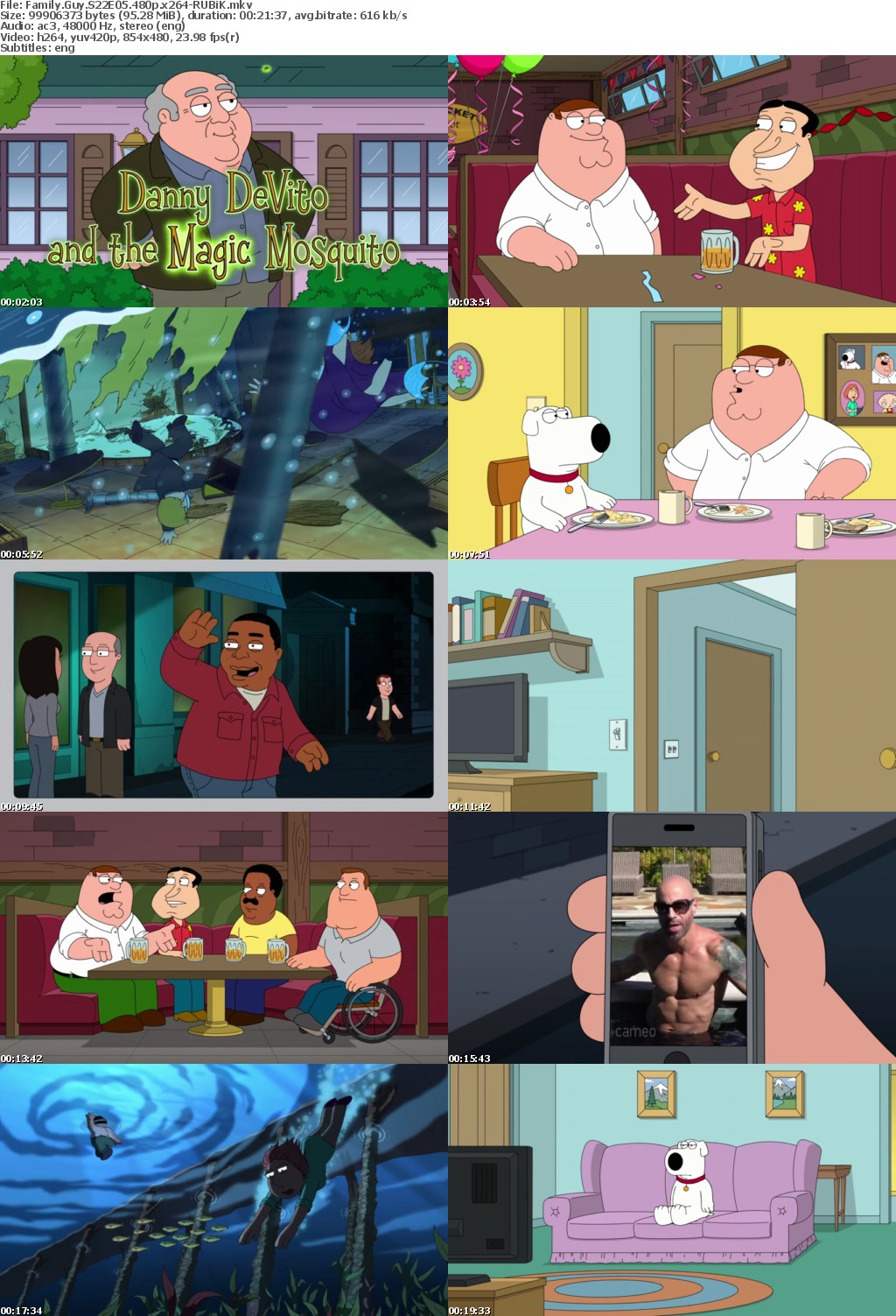 Family Guy S22E05 480p x264-RUBiK