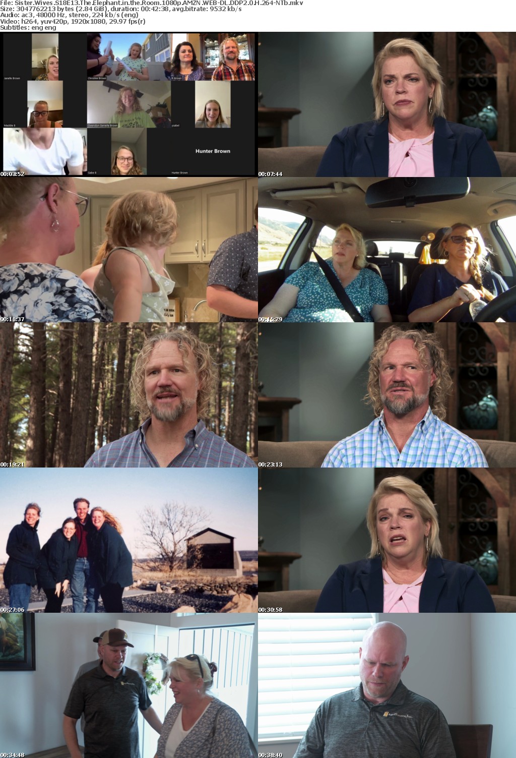 Sister Wives S18E13 The Elephant in the Room 1080p AMZN WEB-DL DDP2 0 H 264-NTb