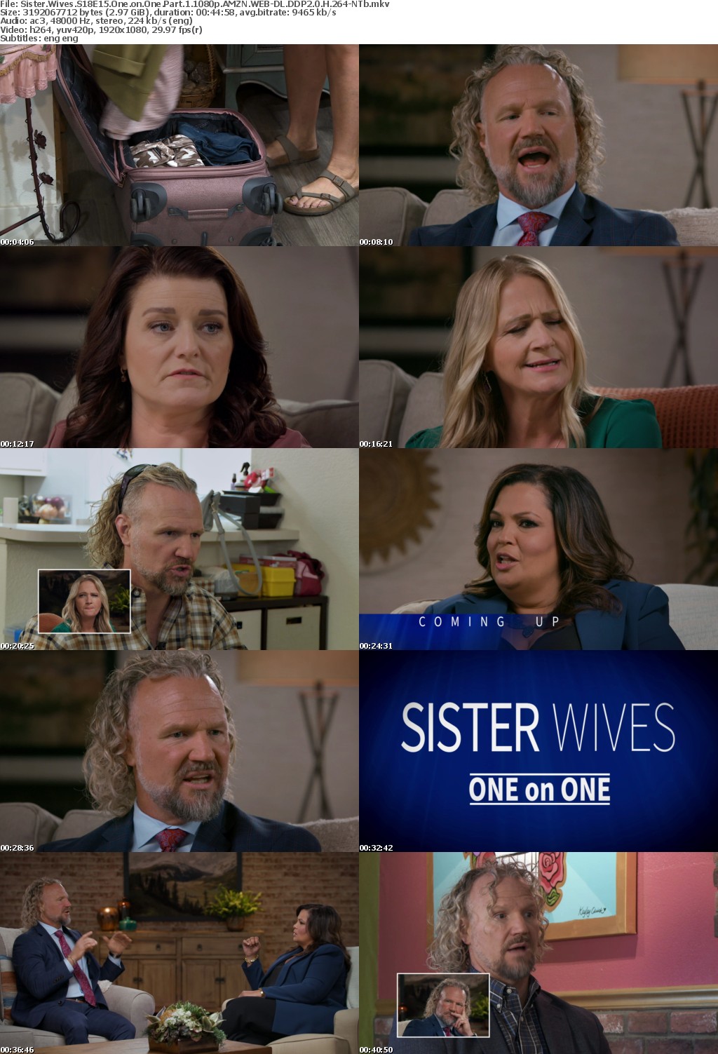 Sister Wives S18E15 One on One Part 1 1080p AMZN WEB-DL DDP2 0 H 264-NTb
