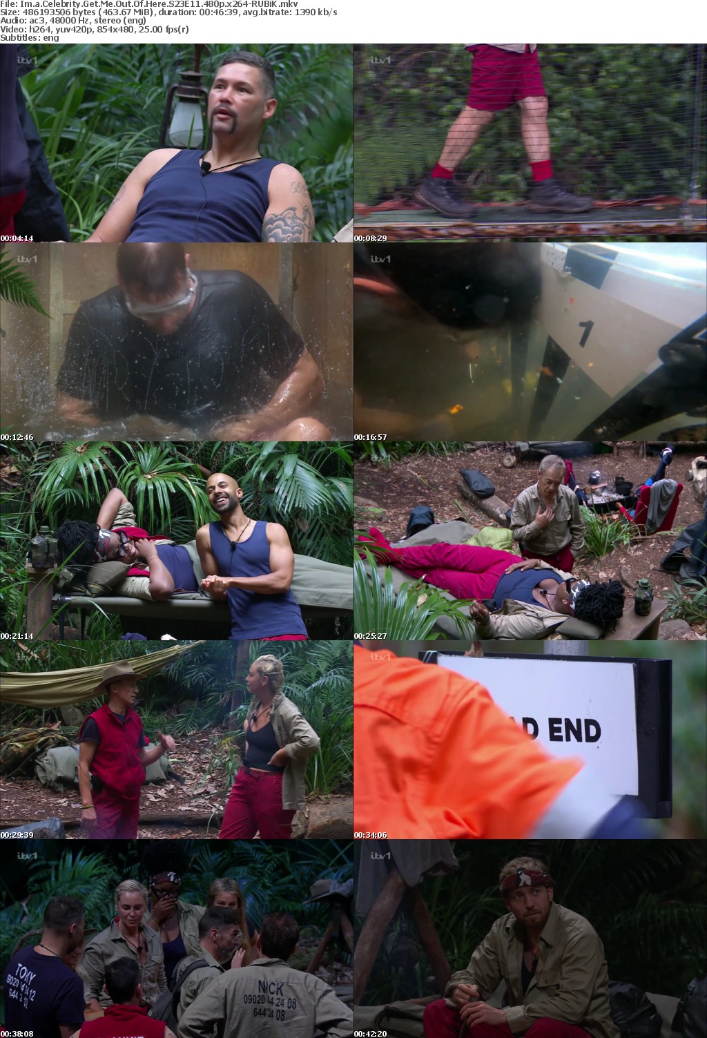Im a Celebrity Get Me Out Of Here S23E11 480p x264-RUBiK