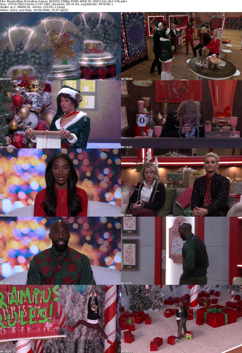 Big Brother Reindeer Games S01E05 1080p AMZN WEB-DL DDP2 0 H 264-NTb